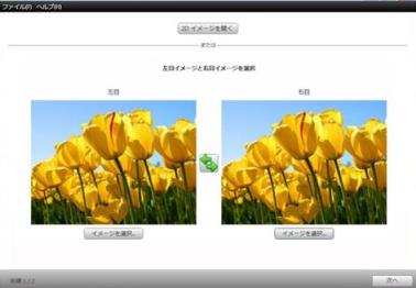 Photo selection window