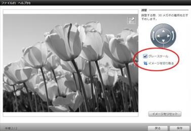 Photo adjustment window with Grayscale selectioned